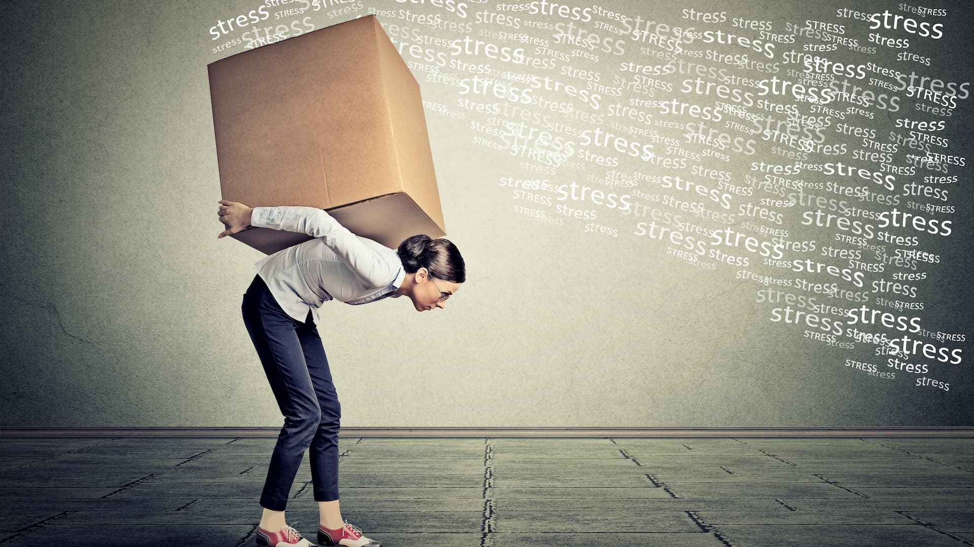 Woman Carrying Box