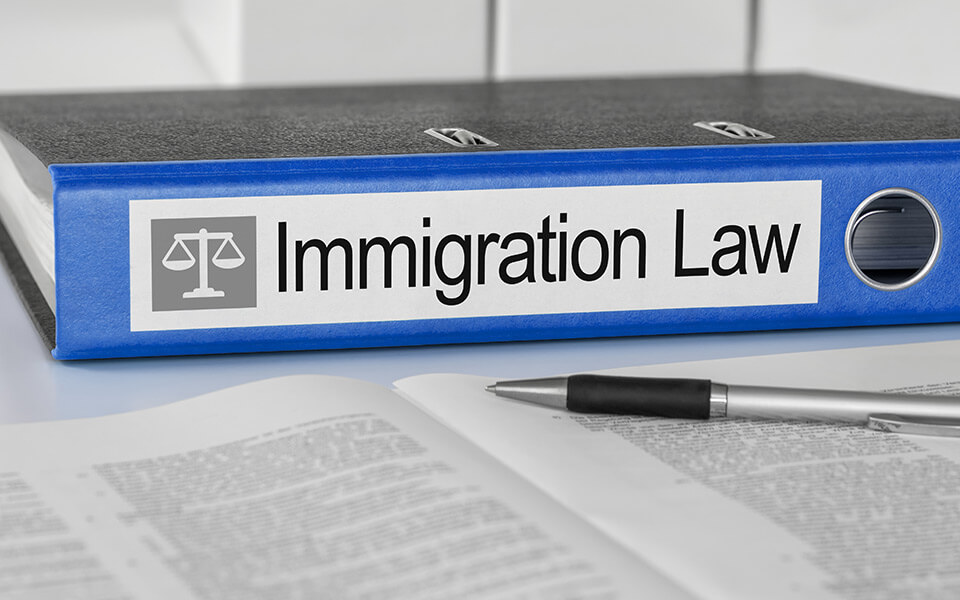 Immigration lever arch file